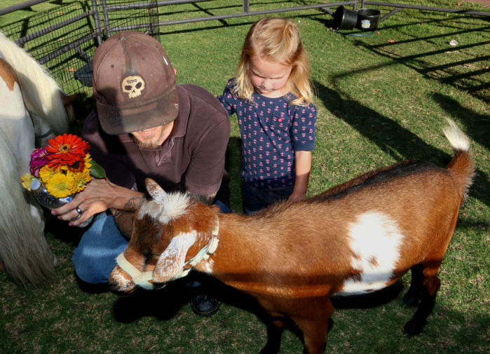 Petting zoo at Market Place